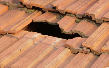 roof repair Holly End, Norfolk
